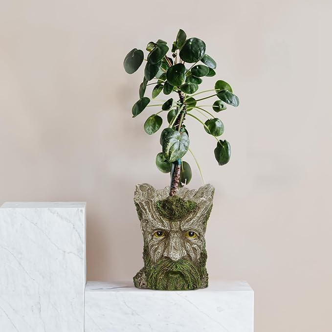 vomiceak Face Planter - Unique Old Man Tree Face Planters for Outdoor Indoor Plants with Drainage Hole, Funny Plant Pots for Succulents - Creative Flower Pots as Gifts for Women and Men (Green Man)