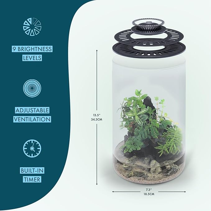 SubstrateSource Bio Cylinder - Glass Plant Terrarium Kit - Glass Terrarium w/LED Grow Light, Adjustable Ventilation Lid, Substrate, Moss & Accent Rocks - Bio Cylinder 200