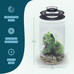 SubstrateSource Bio Cylinder - Glass Plant Terrarium Kit - Glass Terrarium w/LED Grow Light, Adjustable Ventilation Lid, Substrate, Moss & Accent Rocks - Bio Cylinder 200