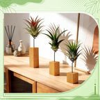 3 Pack Air Plant Holder with Wooden Base, Metal Spiral Tillandsia Stands for Desktop Shelf Display, Decorative 3 Sizes Air Plant Holder for Home Office and Housewarming Gift