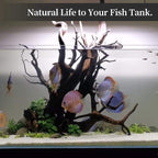 majoywoo Natural Large Driftwood for Aquarium Decor Reptile Decor 13-17" Long, Over 1.3 lbs