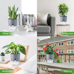 Oliz 6 Inch Self Watering Pots for Indoor Plants, 6 Pack Grey Plastic Flower Pots with Drainage Holes for African Voilet Herbs All House Plants (Include 1 Spray Bottle)