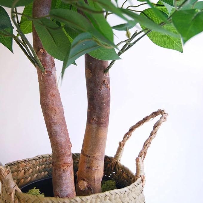 BLAINE | Ficus 71in | Decorative Artificial Plants | Large Artificial Plant | Artificial Plants for Indoor/Outdoor use | Realistic Decorative Artificial Plant for Home