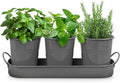Plexon Herb Planter Indoor Garden Set of 3 with Tray, Metal Herb Pots for Indoor Plants, Round Kitchen Garden Kit Ideal for Windowsill Planter or Countertop, Gray Powder Coated