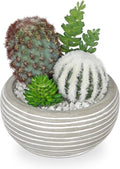 Artificial Cactus Plants Indoor, 5.5" Assorted Small Faux Succulent in Pots Fake Potted Desk Plant with Concrete Bowl Mini Succulents Artificial Cactus Decor for Home Office Bathroom Table Shelf