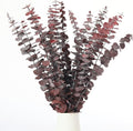 Tavkite 16 Pcs Dried Eucalyptus Stems, 17'' Natural Fresh Eucalyptus Leaves Branches Hanging for Shower, Preserved Real Red Plant Live Greenery for Home SPA Wall Bathroom Wedding Party Vase Decor