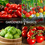 Tomato Growing Kit – Grow 8 Varieties of Delicious Tomatoes – Non-GMO Heirloom Seeds, Complete Indoor & Outdoor Tomato Seed Kit, Our Tomato kit is Perfect for Home Gardens & Fresh Cooking