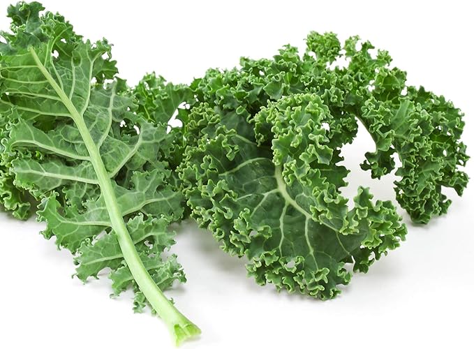Kale Garden Seeds - Vates Blue Scotch Curled - 4 Oz - Non-GMO, Heirloom- Vegetable Gardening & Microgreens