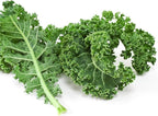 Vates Blue Scotch Curled Kale Seeds: 25 Lb - Bulk Non-GMO Seed for Growing Micro Greens, Vegetable Gardening, Grow Leafy Greens