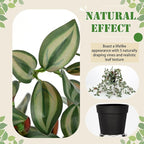 2 Pack Fake Hanging Plants for Shelf in Back Pot, Small Artificial Hanging Ivy Vine Plants Indoor Fake Potted Greenery Plant for Home Room Wall Tabletop Mantel Decor, Mimi Faux Peperomia Plant Set