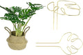 M METERXITY 2-Pack Monstera Plant Support, 11x5.9 Inch Reusable Sturdy Alloy Plant Support Stakes Unique Design for Potted Plants Flowers/Vegetables/Indoor Outdoor Climbing Plants [Gold]