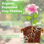Riare 2 LBS Organic Expanded Clay Pebbles - 4mm-16mm Natural Leca Balls Lightweight Hydroponic Clay Pebbles Aggregate for Indoor Plants, Hydroponic Growing, Plants Drainage, Aquaponics