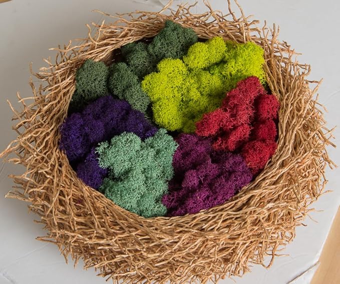 SuperMoss (21798) Reindeer Moss – Soft Preserved Moss for Home Decor, Crafts, Terrariums, Floral Design, and Wedding Decorations, 2,588 cu in, Purple
