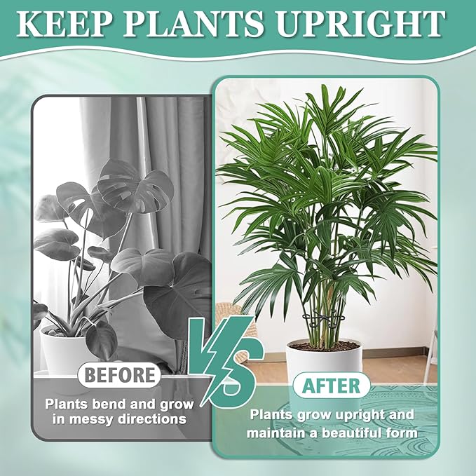 16pcs Plant Stem Support, Plant Support for Indoor Plants, 4 Sizes Climbing Houseplant Stem Holders, Reusable Plant Stabilizer