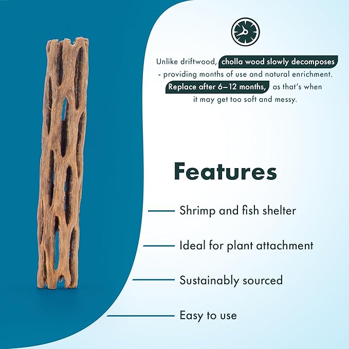 SubstrateSource Natural Cholla Wood - Driftwood for Aquariums, Air Plant Base, Hermit Crab and Freshwater Shrimp Hideout, Fish Tank Decoration, Chinchilla Chews, Reptile Habitat Wood - 6 Inch, 5pc