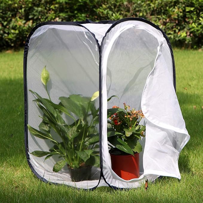 RESTCLOUD Insect and Butterfly Habitat Cage Terrarium Pop-up 23.6 Inches Tall
