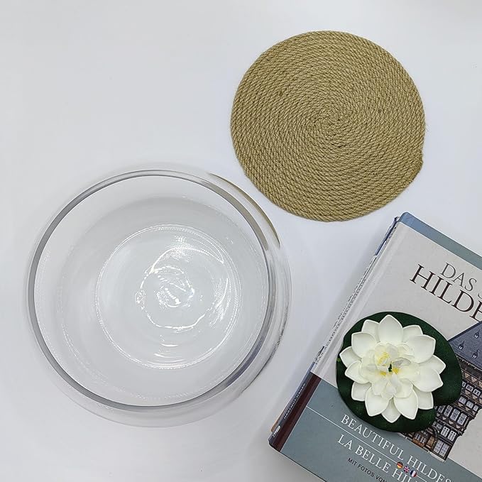 10" Large Glass Lotus Bowl Planter with Braided Tray Round Clear Glass Water Lily Flower Pot Indoor Hydroponic Aquatic Plant Bonsai Vase Can As a Fish Tank