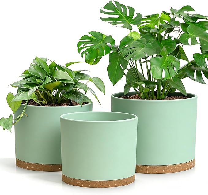 Large Plant Pots Set of 3 – 8", 9", 10" Indoor Flower Pots with Drainage Holes and Saucers, Big Planters for Monstera, Fiddle Leaf Fig, Snake Plant – 5 Colors