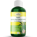 GARDENWISE Organic Premium Kelp Seaweed Fertilizer - Liquid Hydroponics Fertilizer - Liquid Plant Food - Nutrient-Rich Soil Enhancer - Natural Plant Food for All Indoor Plants (16 oz)