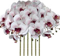 FagusHome 32 Inch Artificial Phalaenopsis Flowers 6 Pcs Artificial Orchid Flowers Stem Plants for Home Décor (White and Purpleline)