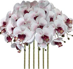 FagusHome 32 Inch Artificial Phalaenopsis Flowers 6 Pcs Artificial Orchid Flowers Stem Plants for Home Décor (White and Purpleline)