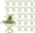 20 PCS Air Plants Holders Unique Geometric Metal Plant Stands Airplants Container Live Air Fern Display Racks Small Decor Items for Shelf (Gold)