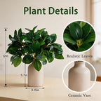 12 Inch Artificial Plant Indoor,Small Fake Plants Eucalyptus Stems With Vase,Faux Greenery In Pot For Farmhouse Home Decor,Bathroom Living Room Kitchen Office Coffee Table Centerpiece (cream white)