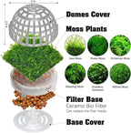 Java Moss | Vesicularia Ferriei Live Aquarium Plant, 10 Square Inch Flame Moss, with 1x Ball Holder, Freshwater Live Plants Shaping Filter