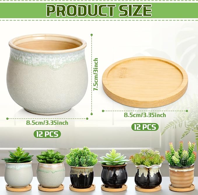 Remerry 12 Pcs Small Succulent Pots Bulk with Drainage Assorted 3.5 Inch Mini Ceramic Succulent Planters Pot with Coaster Bamboo Plant Tray Planting Pots for Home Office Garden