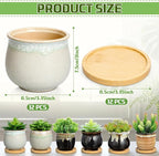 Remerry 6 Pcs Small Succulent Pots Bulk with Drainage Assorted 3.5 Inch Mini Ceramic Succulent Planters Pot with Coaster Bamboo Plant Tray Planting Pots for Home Office Garden