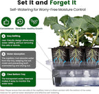 SOLIGT 144 Cell Self Watering Seed Starter Trays with 2 Grow Lights, 6 Seed Starter Kit with Humidity Domes, Full Spectrum Seedling Light with 8/12/18H Timer for Seed Starting, Seedling Growing
