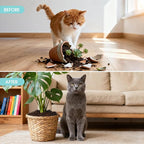 6/12 PCS 11.8" Plant Protector from Cats Indoor with 12 PCS Metal Stakes, Cuttable Pot Cover from Animals