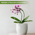 2 Pack Round Plant Trellis for Potted Plants Indoor Outdoor, Acrylic Small Trellis for Climbing Plants, Plant Support for Hoya Pothos Vine Ivy Monstera Flower Philodendrons Dischidia