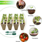 Seed Starter Tray,240 Cell Biodegradable Peat Pots Seed Starter Kit,Organic Germination Trays for Vegetable Flower Seedlings with 20 Plant Labels & 2 Garden Tools -20 Pack