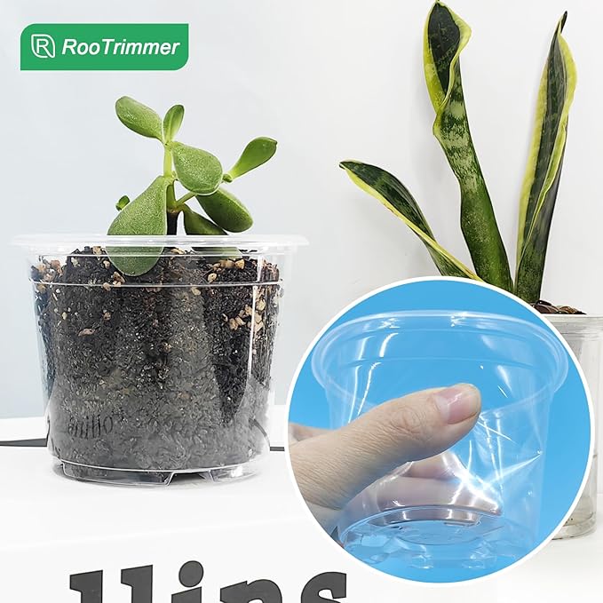 RooTrimmer Clear Seedling pots 100-Pack 3.2 Inches Round for Seeds Starter Pots, Seeds Germination Transparent Clean Pots with Drainage Holes(100 Pcs, 3.14Inch)