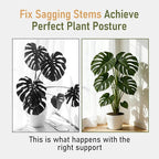 40PCS Forest Green Plant Stem Support, Invisible Stem Supports for Indoor Plants, Plastic Reusable Plant Support Clips, Indoor Plants Accessories