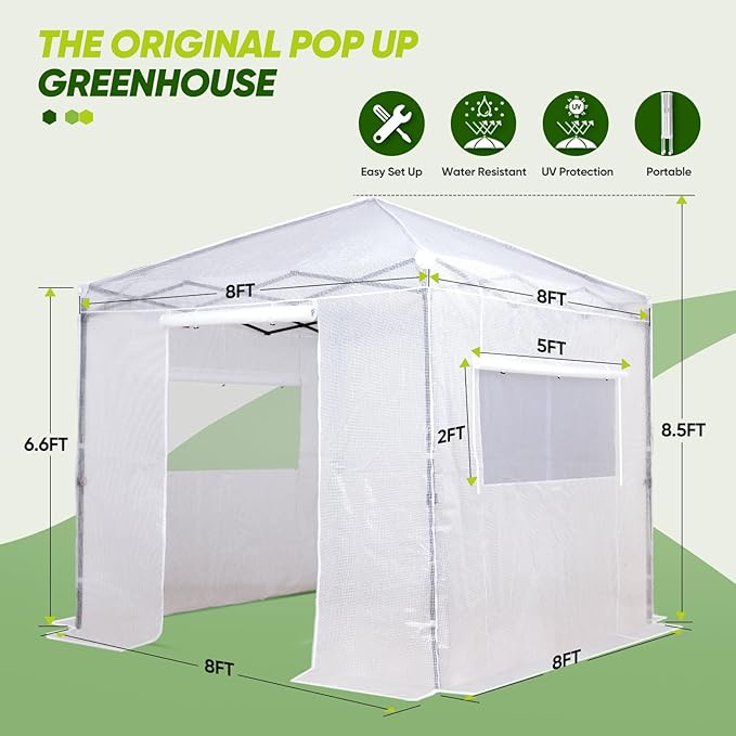 EAGLE PEAK 8x8 Portable Walk in Greenhouse, Pop Up Indoor Outdoor Greenhouse, Green House Kit with Zippered Roll-Up Doors and Windows, PE Cover, Clear/White
