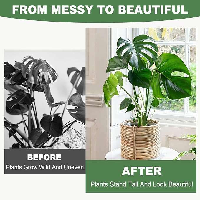 16 Pack Upgraded Plant Stem Supports, Nearly Invisible Plant Support for Indoor Plants, 4 Sizes Stem Holders for Climbing Houseplants, Reusable Plant Stabilizer, Indoor Plants Accessories