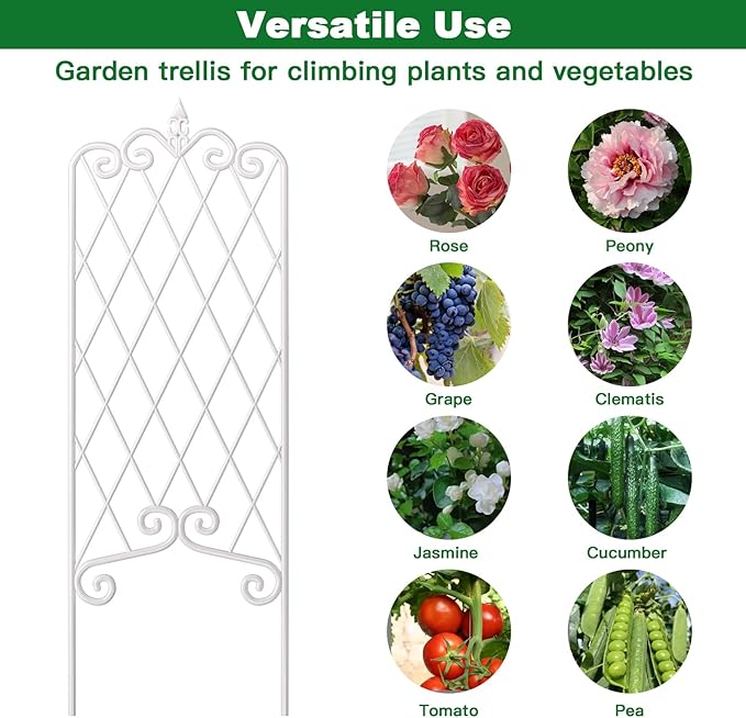 AMAGABELI GARDEN & HOME 2 Pack 60” x 18” Garden Trellis for Climbing Plants Outdoor Trellis for Climbing Roses Plant Trellis Vegetables and Flower Vine White Trellis for Ivy Cucumbers