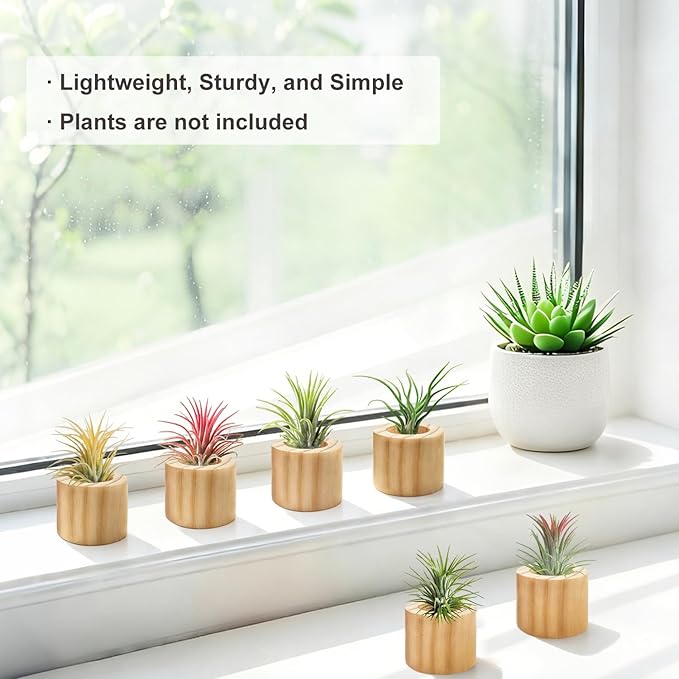 Belit 6 Pcs Air Plant Holder, Small Wooden Air Plants Live Holders for Home Decor (NO Plant Included)