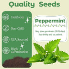 Herb Seed Pods Kit Hydroponic - Refill Pod for All Indoor Garden, 8 Grow Pods with Seeds of Peppermint & Plant Food, Compatible with All Hydroponics Growing Systems