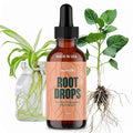 Root Drops - Liquid Rooting Vitamins | Fast Propagation, Stronger Roots, Less Shock | Works in Water, Soil, Leca, Moss | for All Indoor Houseplants Like Pothos, Monstera, Philodendron (4 oz)