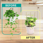Bamboo Trellis 10 Pack, 48 Inches/4FT S3 Natural Bamboo Plant Fan Stakes, Fan-Shaped Plant Support Stand for Orchid Vines, Monarchs, Ivy and Other Plants Climbing, Help Plant Growth