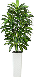 Artificial Dracaena Tree：7FT Faux Silk Tropical Yucca Floor Trees Realistic Fake Green Plant with Natural Wood Trunk & Lifelike Leaves for Home Office Decor Indoor & Outdoor (7FT,1-Pack,White)