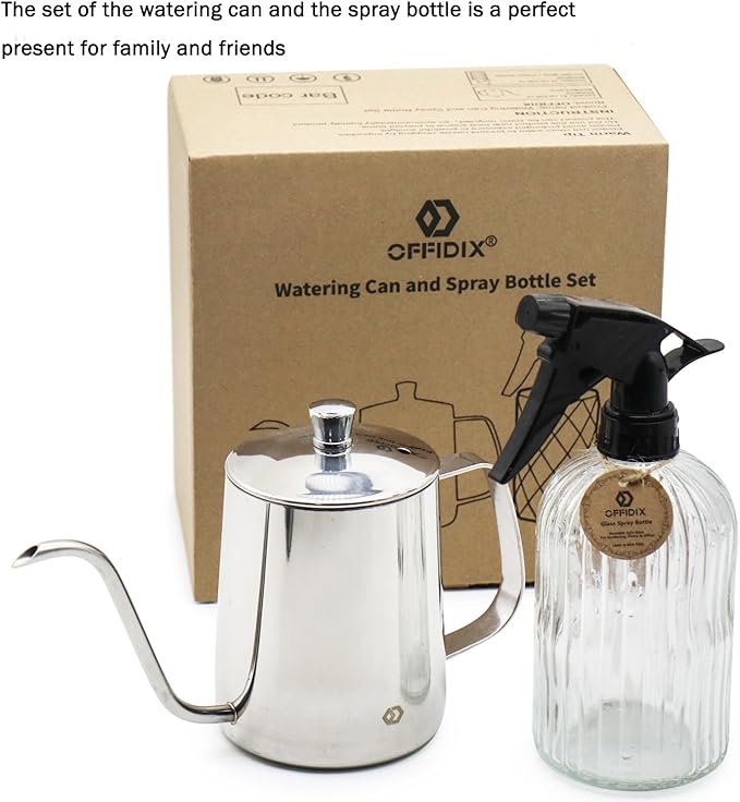 OFFIDIX Watering Can for Indoor Plants,Long Spout Metal Stainless Steel 21 oz Watering Can with 14 oz Glass Plant Mister Spray Bottle for House Plant Bonsai