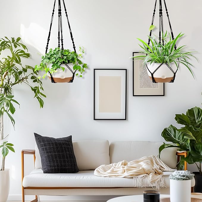 Koalaime Hanging Planter Self Watering 10 Inch, 2 Pack Indoor Outdoor Hanging Baskets, Hanging Flower Pots with Drainage Hole & 2 Kinds of Plant Hangers for Garden Home Decor(Black Hanger