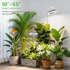 Plant Grow Light, 80LED Growing Light Full Spectrum for Indoor Plants, Height Adjustable 10"-65", Auto Timer 6/12/16H, 3 Optional Spectrums, Idea for Large Plant Light, 5V, Black, 1 Pack