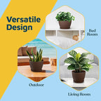 Brown 6-Inch Plant Pots with Drainage & Saucers 18 Pack, Indoor & Outdoor Planters for Houseplants, Herbs, and Flowers, Durable & Weatherproof Material, Stackable, Lightweight, Minimalist Design