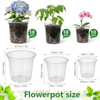 Clear Nursery Pots, 30 Pack Seed Starting Pots with 8 Drainage Holes, Transparent Plant Pots with Labels, Marker & Seedling Transplant Tool (3.5/4/5in-30pcs)