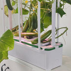 E SUPEREGROW Large Hydroponics Growing System kit with Trellis,Smart Indoor Hydroponic Gardening System with LED Grow Light, Indoor Hydroponic Grow Kit for Tomato,Pepper,Cucumbers(7L,Pump)